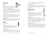 Modern Witchcraft Guide to Magickal Herbs