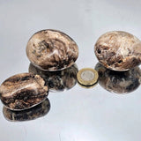 Black Opal Crystal Palmstone