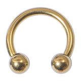 Horseshoe - Gold Titanium