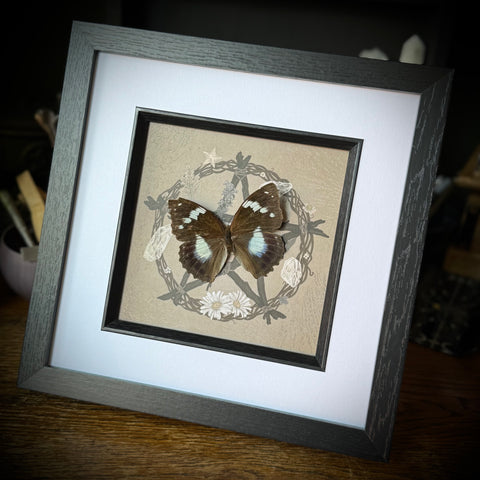 Framed Butterfly on Witchy Art Print