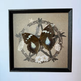 Framed Butterfly on Witchy Art Print