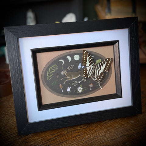 Framed Butterfly on Hare Art Print