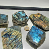 Labradorite Crystal Half Polished Slice